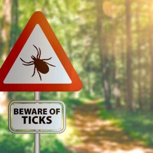 No Tick Will Bite If You Do This Before You Leave The house