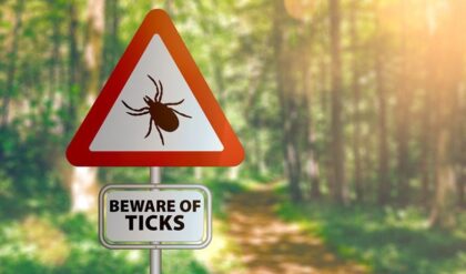 No Tick Will Bite If You Do This Before You Leave The house