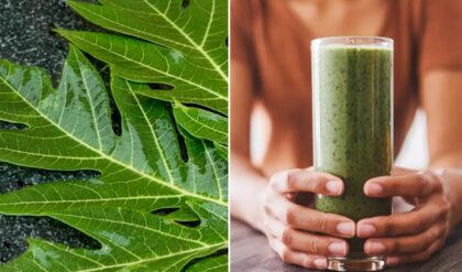 Why Papaya Leaves Might Be the Hair Growth Hack You’ve Been Missing